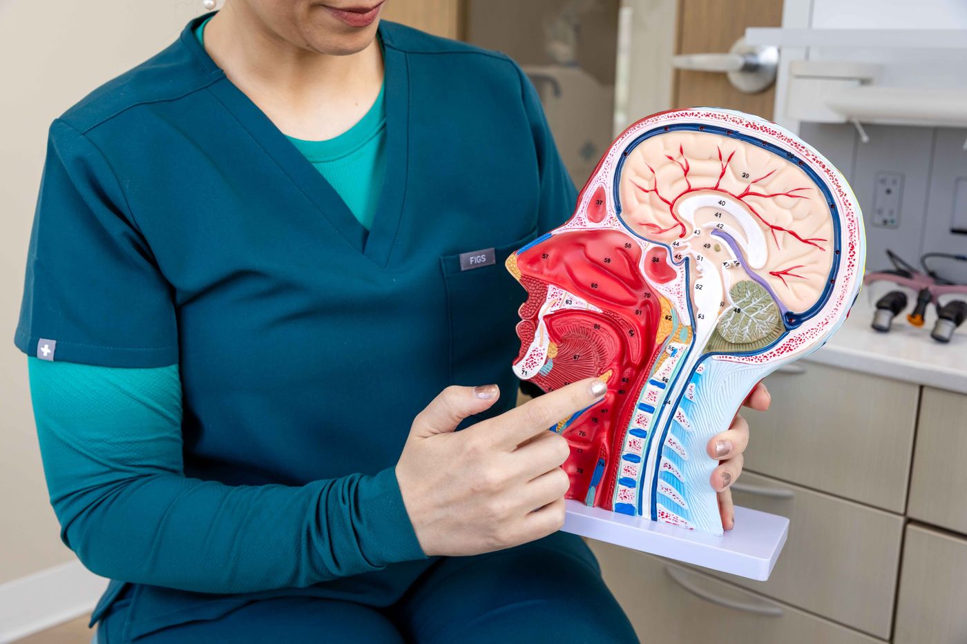 Dr. Zubaida Hussain pointing out the tongue and airway on an anatomical model at Westside, Calgary SW